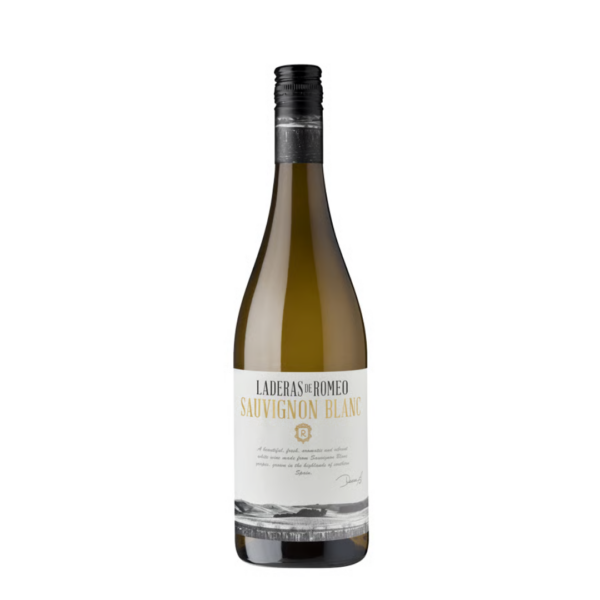 אלסניו סוביניון בלאן לאדרס דה רומיאו – Alesanyó Laderas de Romeo Sauvignon Blanc יין אלסניו סוביניון בלאן מסדרת לאדרס דה רומיאו (Laderas de Romeo) הוא יין לבן אלגנטי המגיע מכרמים נבחרים השוכנים על מדרונות (Laderas) בעלי טרואר ייחודי בספרד. הסדרה נקראת על שם אותם מדרונות המעניקים לענבים חשיפה אופטימלית לשמש לצד ניקוז מצוין, מה שמביא ליצירת יין בעל ריכוז טעמים מרשים ורעננות יוצאת דופן. יין זה מייצג את הצד המעודן והמורכב יותר של זן הסוביניון בלאן. ה-Laderas de Romeo Sauvignon Blanc מאופיין בסגנון נקי, מינרלי וארומטי מאוד. זהו יין לבן יבש המציע איזון מושלם בין פירותיות טרופית לבין חדות לימונית מרעננת. הוא מהווה בחירה אידיאלית לחובבי יינות לבנים איכותיים המחפשים יין עם "אופי" ונוכחות, ומתאים להפליא לליווי מנות דגים עדינות, פירות ים, גבינות עיזים, סלטים רעננים או כמלווה לארוחות קלילות במרפסת.