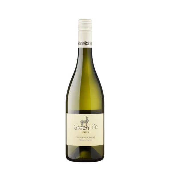 גרין לייף סוביניון בלאן (עמק מאולה) – Green Life Sauvignon Blanc Maule Valley יין גרין לייף סוביניון בלאן (Green Life Sauvignon Blanc) מגיע מאזור עמק מאולה (Maule Valley) המפורסם בצ'ילה, אחד מאזורי היין העתיקים והמגוונים ביותר במדינה. היין מופק מענבים הנהנים מהשילוב הייחודי שבין השמש הדרום-אמריקאית החמימה לבין הבריזות הקרירות המגיעות מהרי האנדים ומהאוקיינוס השקט. תנאים אלו מאפשרים לענבים לפתח רעננות יוצאת דופן ופרופיל טעמים פירותי ועשיר. ה-Green Life Maule Valley הוא יין לבן תוסס, נקי ומלא חיוניות. הוא מאופיין בסגנון ה"עולם החדש" הקלאסי – חד, ארומטי מאוד וקליל לשתייה. זהו יין מושלם לאלו המחפשים משקה מרענן במיוחד לאקלים הישראלי, והוא מהווה בחירה מצוינת לליווי מנות דגים, מאכלי ים, סלטים טריים או פשוט כיין מהנה לאירוח קליל במרפסת.