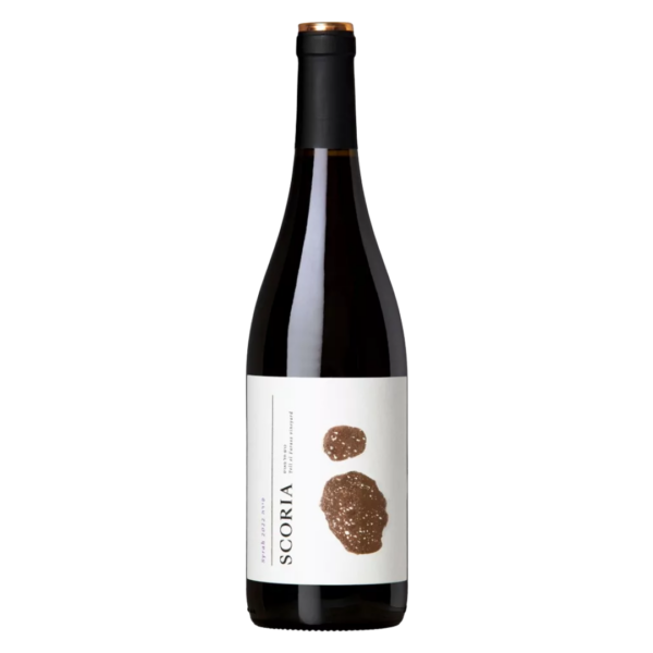 סקוריה סירה 750 מ"ל | Scoria Syrah סקוריה סירה (Scoria Syrah) הוא יין אדום יבש זני המיוצר על ידי יקב הבוטיק "סקוריה" (Scoria). הענבים ליין זה נבצרים מכרם יחידני (Single Vineyard) הממוקם בצפון רמת הגולן, בגובה רב של כ-900 מטר מעל פני הים. אדמת הכרם עשירה בסלעי סקוריה (סלע וולקני נקבובי שהעניק ליקב את שמו) ובבזלת, אשר יחד עם האקלים הקר והייחודי של האזור, תורמים לפיתוח אופי מורכב, פירותי ומתובל הטיפוסי לזן הסירה הגדל בטרואר וולקני. היין מופק מ-100% ענבי סירה שנבחרו בקפידה ועברו תהליך תסיסה מבוקר. לאחר מכן, היין מתיישן למשך תקופה של כ-12 עד 14 חודשים בחביות עץ אלון צרפתי. תהליך יישון זה נועד לעדן את הטאנינים הטבעיים של הענב, להעניק לו מורכבות ועומק, ולשמר את פוטנציאל ההשתבחות וההתיישנות של היין בבקבוק לאורך מספר שנים. פרופיל טעם ומאפיינים ארומטיים ניחוח (Nose): פרופיל ארומטי עשיר, אלגנטי וזני מאוד. ניחוחות בולטים של פירות יער שחורים ואדומים (אוכמניות, פטל ודובדבן כהה), המשולבים בנגיעות קלאסיות של פלפל שחור גרוס, בשר מעושן, סיגליות, שוקולד מריר ורקע אדמתי-וולקני מעודן. טעם (Palate): גוף מלא, קטיפתי ומובנה היטב בחיך. מציג איזון מדויק בין מתיקות של פרי בשל לחמיצות חיונית ותומכת. הטאנינים נוכחים אך משולבים בצורה חלקה, ומבליטים טעמי תבלינים חמים ועץ אלון אלגנטי. סיומת (Finish): סיומת ארוכה, מתמשכת, חמימה ומתובלת קלות, המותירה עקבות של פירות כהים וקקאו. צבע: סגול-ארגמן עמוק, כהה ובוהק.