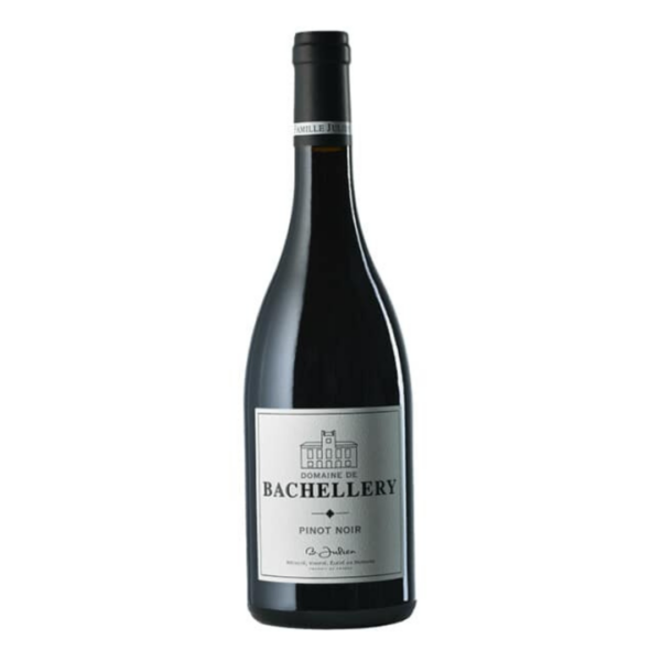 יין אדום דומיין דה בשלרי פינו נואר 750 מ"ל (Domaine de Bachellery Pinot Noir) – פינו נואר צרפתי יבש מפיי ד'אוק, אלגנטי, פירותי, קטיפתי ומאוזן יין אדום יבש, מעודן ומלא חן מבית האחוזה הצרפתית המשפחתית Domaine de Bachellery, השוכנת בלב אזור פיי ד'אוק שבדרום צרפת. היין מופק מ-100% ענבי פינו נואר ומציג ביטוי ים-תיכוני נגיש, עשיר ואלגנטי לזן האצילי – שילוב מושלם בין פירותיות אדומה רעננה, טקסטורה משי ורכות מלטפת. היין מתאפיין בצבע אדום-רובי בהיר וצלול, ובוקה ארומטי מפתה של דובדבנים אדומים טריים, פטל בר, תות שדה, שזיף אדום, לצד רמזים מעודנים לפרחי סיגליות, תבלינים עדינים ונגיעה אדמתית קלה. בחיך מתגלה גוף קל עד בינוני, מרקם חלק וקטיפתי עם טאנינים רכים במיוחד וחמיצות פריכה ורעננה, המובילה לסיומת פירותית, נקייה ואלגנטית להפליא. בקבוק 750 מ"ל קלאסי – בחירה מצוינת לאירוח אלגנטי, וליווי מושלם למנות עוף צלוי, חזה ברווז, פסטות קלות, דגי טונה או סלמון צרובים, נקניקים מובחרים וגבינות צרפתיות חצי-קשות כמו קממבר וברי. 100% פינו נואר צרפתי (IGP Pays d'Oc): ביטוי פירותי, נגיש וקטיפתי של הזן האצילי מדרום צרפת. פרופיל טעמים מעודן ומאוזן: שפע של דובדבן אדום, פטל, תות שדה ורמזי תיבול עדינים. גמישות קולינרית רחבה: מתאים במיוחד לצד מנות עוף, ברווז, פטריות, דגים שמנים וגבינות רכות.